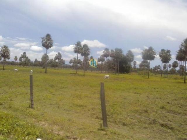 Sitio venda em Miranda, Miranda