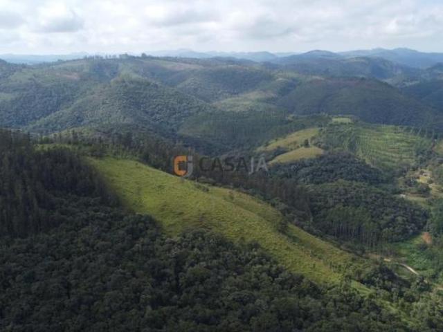 Sítio e chácara venda em Região Geográfica Imediata de Curitiba, Região Metropolitana de Curitiba