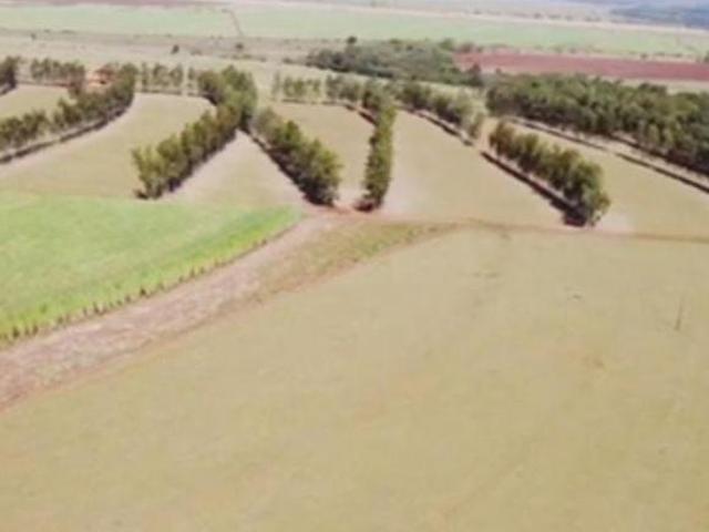 Sítio e chácara venda em Região Geográfica Imediata de Paranacity-Colorado, Paranacity