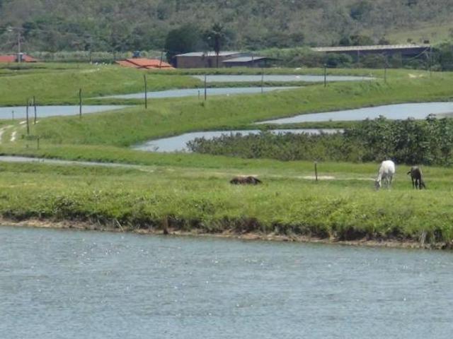Sítio e chácara venda em Região Geográfica Imediata de Flores de Goiás, Alto Paraíso de Goiás
