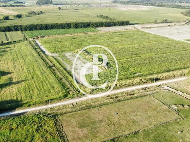 Sítio e chácara venda em Região Imediata de Campinas, Região Metropolitana de Campinas