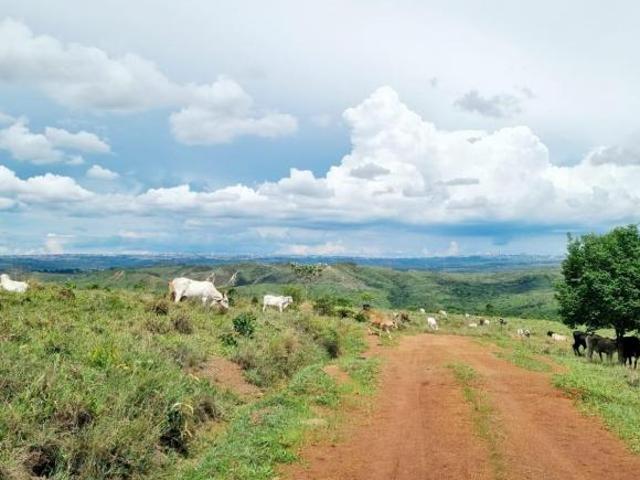 Sítio e chácara venda em Região Geográfica Imediata do Distrito Federal, Região Integrada de Desenvolvimento do Distrito Federal e Entorno
