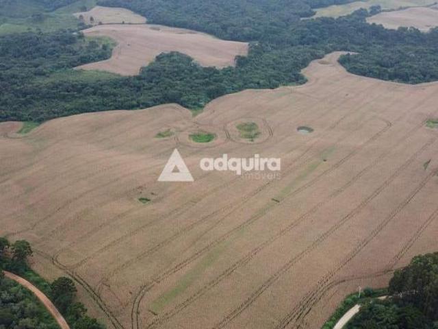 Sítio e chácara venda em Região Geográfica Imediata de Ponta Grossa, Castro