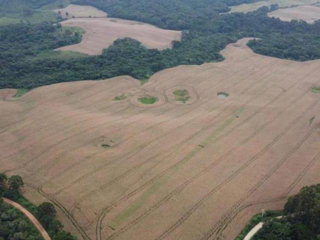 Sítio e chácara venda em Socavão, Castro