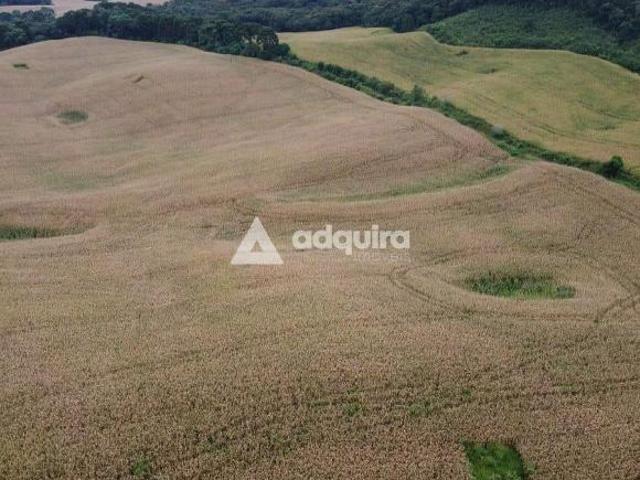 Sítio e chácara venda em Região Geográfica Imediata de Ponta Grossa, Castro