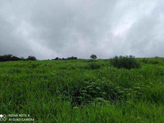 Sítio e chácara venda em Região Geográfica Imediata de Montes Claros, São João da Ponte