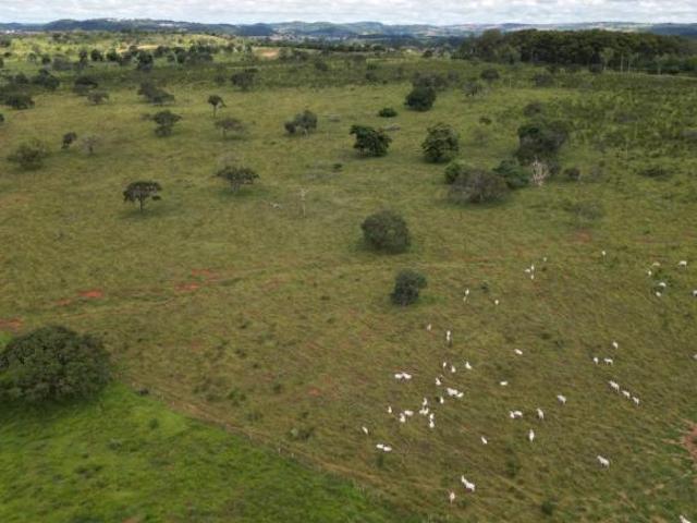 Sítio e chácara venda em Região Geográfica Imediata de Sete Lagoas, Região Metropolitana de Belo Horizonte
