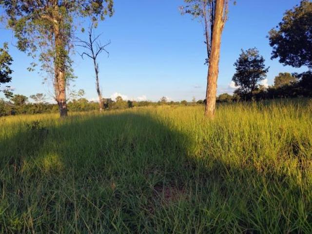 Sítio e chácara venda em Região Geográfica Imediata de Sete Lagoas, Paraopeba