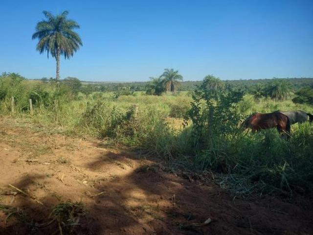 Sítio e chácara venda em Região Geográfica Imediata de Curvelo, Curvelo