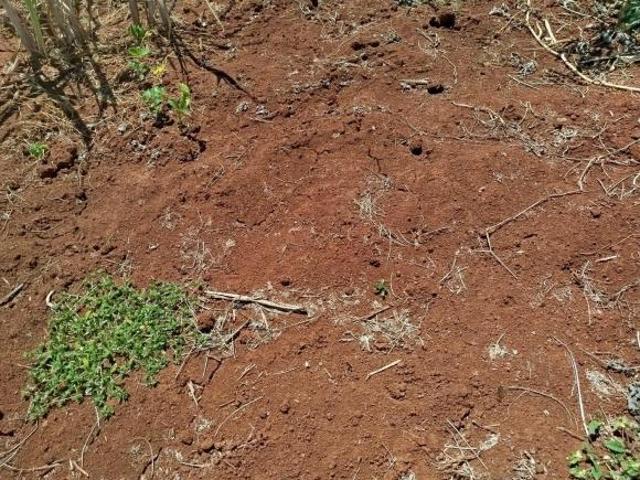 Sítio e chácara venda em Região Geográfica Imediata de Curvelo, Corinto