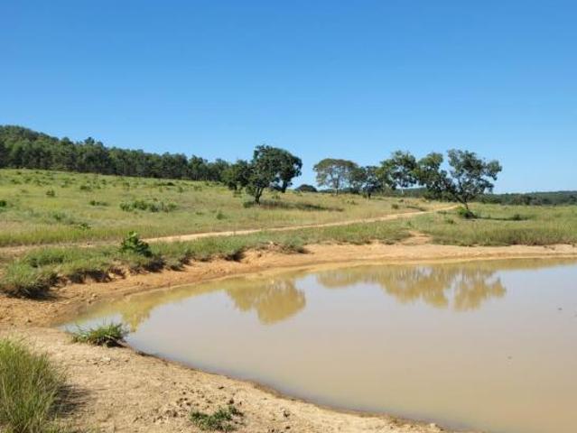 Sítio e chácara venda em Região Geográfica Imediata de Curvelo, Curvelo