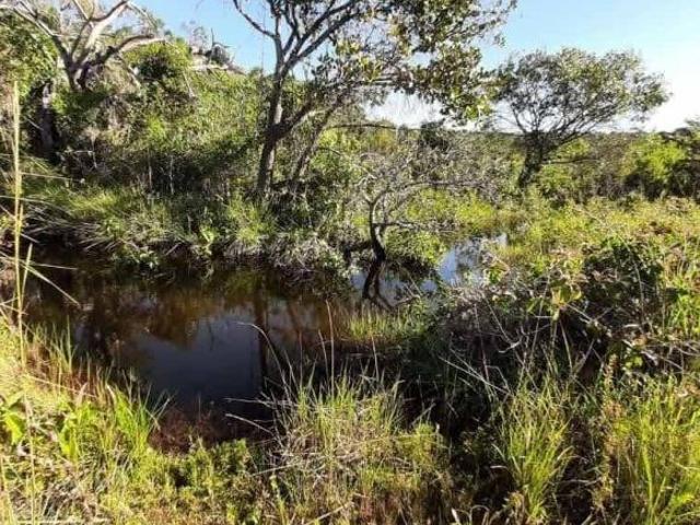Sítio e chácara venda em Região Geográfica Imediata de Montes Claros, Joaquim Felício