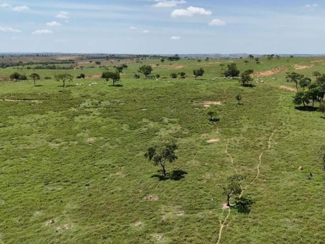 Sítio e chácara venda em Região Geográfica Imediata de Dores do Indaiá, Dores do Indaiá