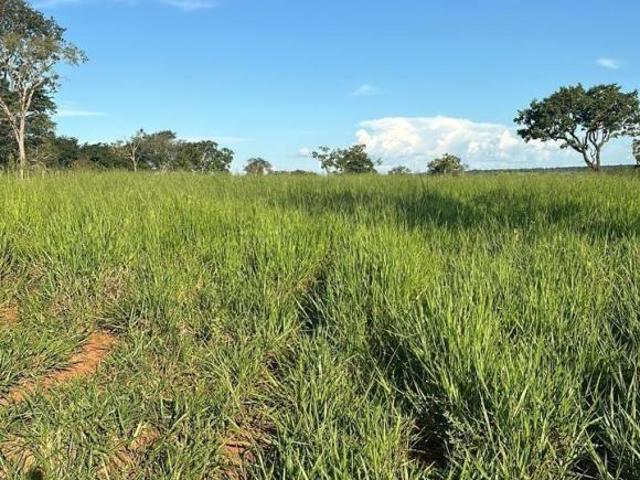 Sítio e chácara venda em Região Geográfica Imediata de Abaeté, Biquinhas