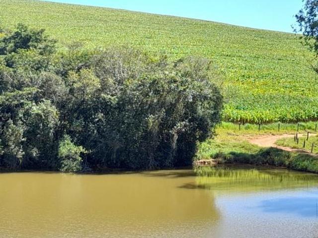 Sítio e chácara venda em Região Geográfica Imediata de Lavras, Lavras