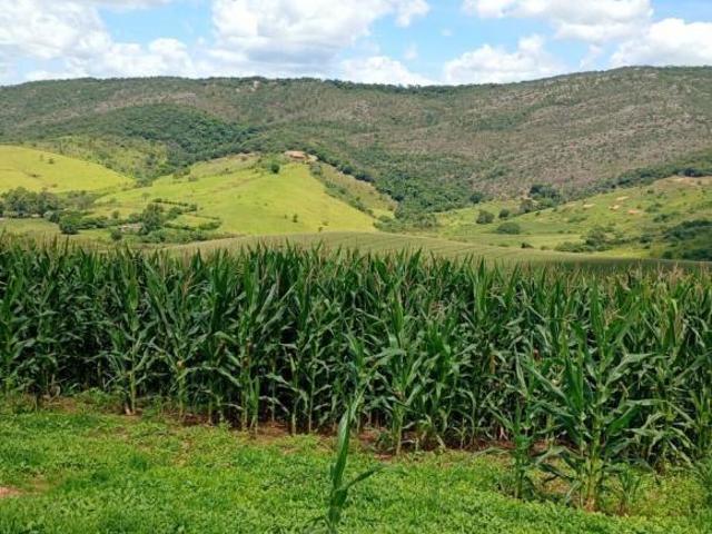 Sítio e chácara venda em Centro, Três Corações