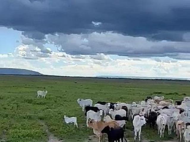 Sítio e chácara venda em Região Geográfica Imediata de Unaí, Arinos