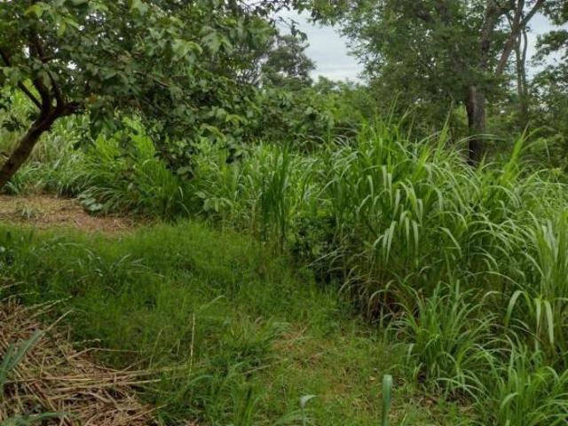 Sítio e chácara venda em Região Geográfica Imediata de Curvelo, Curvelo