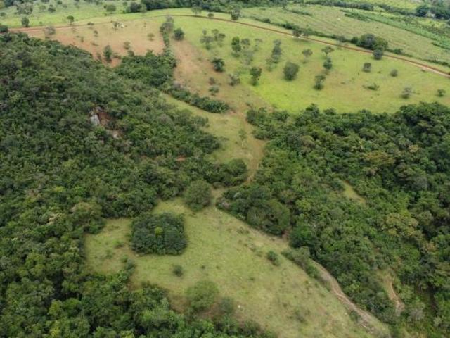 Sítio e chácara venda em Região Geográfica Imediata de Oliveira, Carmópolis de Minas