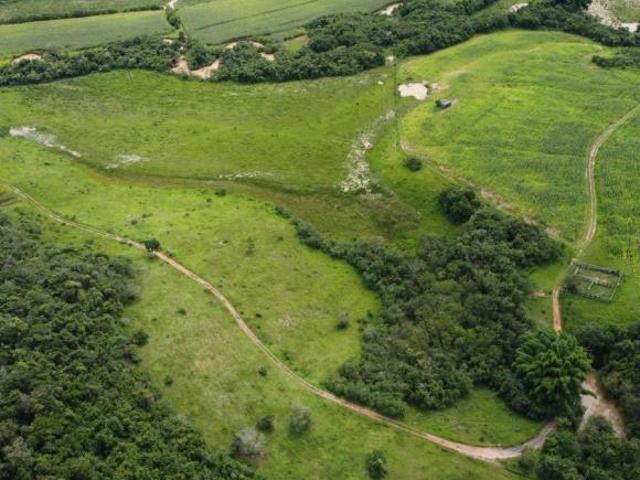 Sítio e chácara venda em Região Geográfica Imediata de Oliveira, Carmópolis de Minas