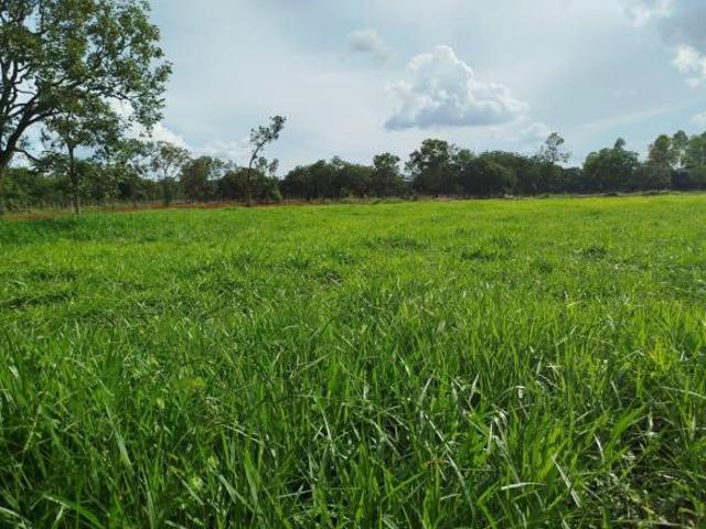 Sítio e chácara venda em Região Geográfica Imediata de Curvelo, Curvelo