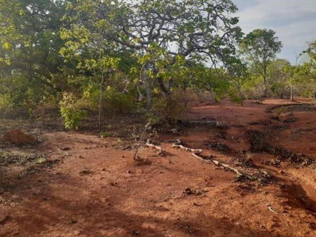 Sítio e chácara venda em Região Geográfica Imediata de Curvelo, Corinto