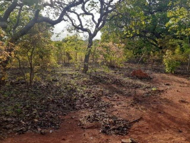 Sítio e chácara venda em Corinto, Região Geográfica Intermediária de Belo Horizonte