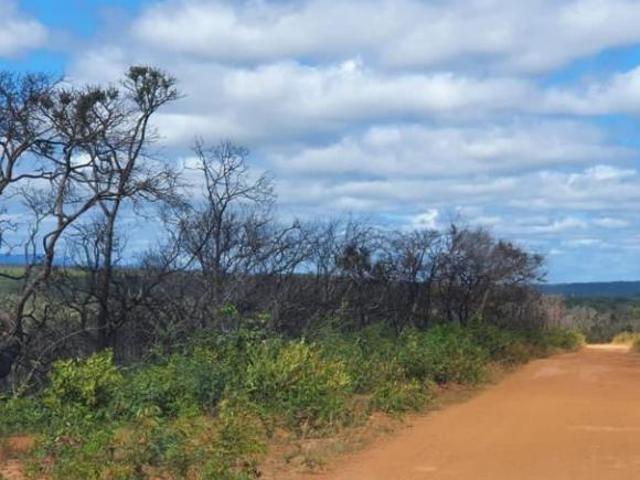 Sítio e chácara venda em Região Geográfica Imediata de Januária, Bonito de Minas
