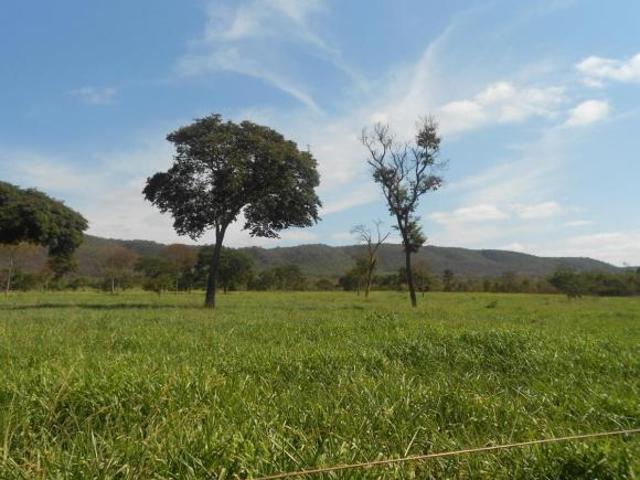 Sítio e chácara venda em Região Geográfica Imediata de Curvelo, Buenópolis