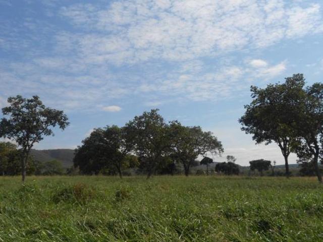Sítio e chácara venda em Região Geográfica Imediata de Curvelo, Buenópolis