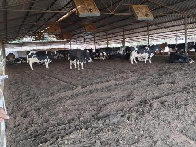 Sítio e chácara venda em Região Geográfica Imediata de Pará de Minas, Pará de Minas