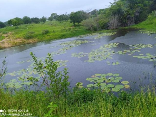 Sítio e chácara venda em Região Geográfica Imediata de Dores do Indaiá, Moema