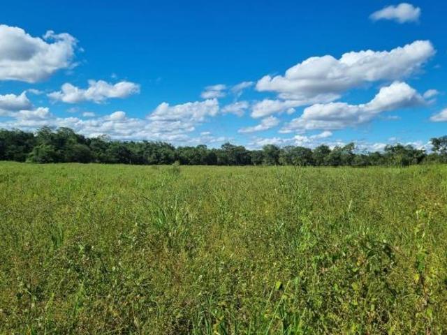 Sítio e chácara venda em Região Geográfica Imediata de Curvelo, Corinto