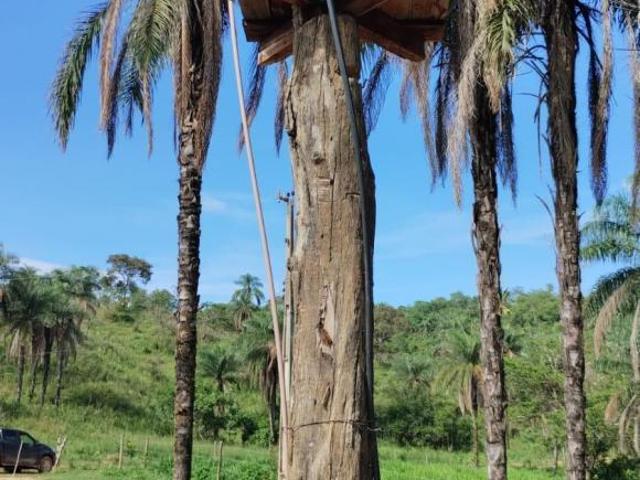 Sítio e chácara venda em Região Geográfica Imediata de Dores do Indaiá, Serra da Saudade