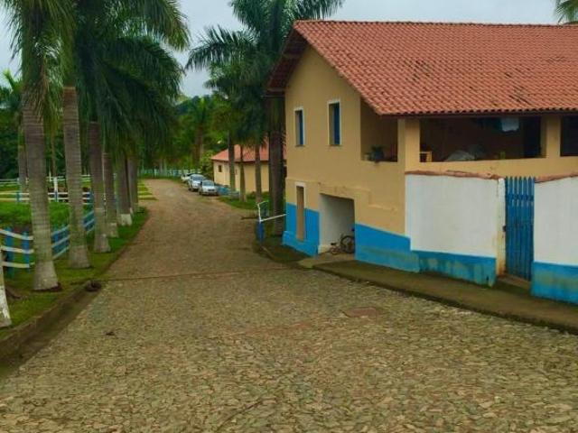 Sítio e chácara venda em Centro, São João Nepomuceno