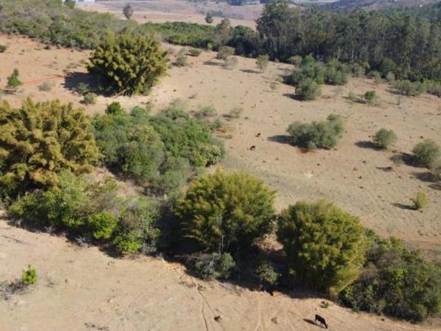 Sítio e chácara venda em Região Geográfica Imediata de Oliveira, Passa Tempo