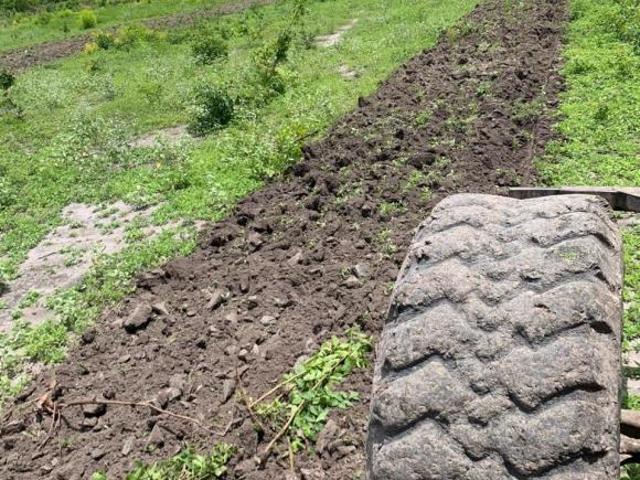 Sítio e chácara venda em Região Geográfica Imediata de Januária, Januária