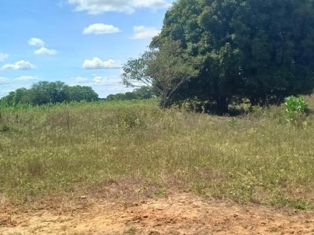 Sítio e chácara venda em Região Geográfica Imediata de Janaúba, Jaíba