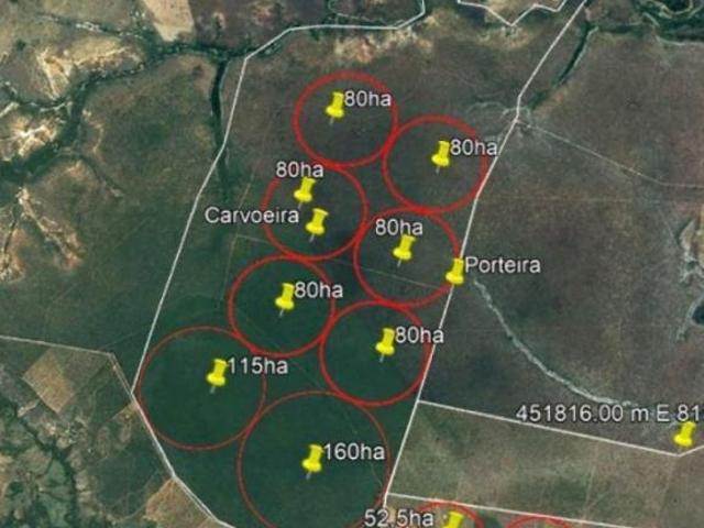 Sítio e chácara venda em Região Geográfica Imediata de Patos de Minas, Brasilândia de Minas