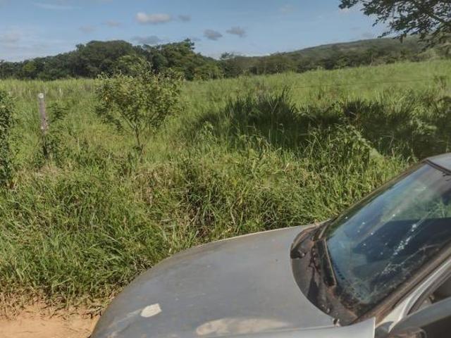 Sítio e chácara venda em Região Geográfica Imediata de Curvelo, Felixlândia