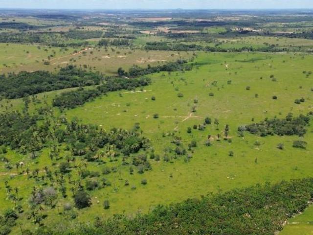 Sítio e chácara venda em Região Geográfica Imediata de Abaeté, Biquinhas