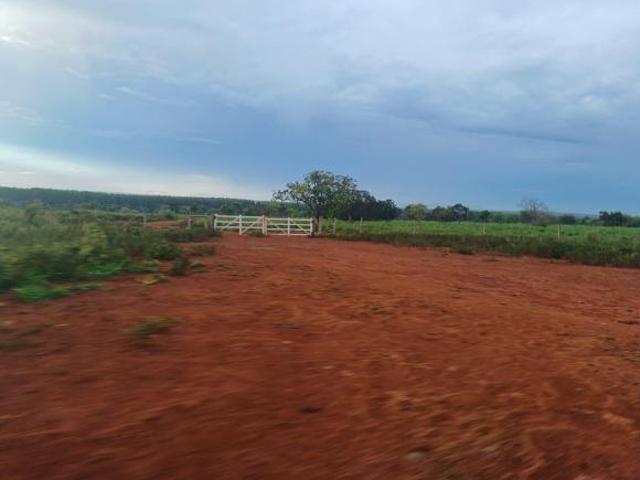 Sítio e chácara venda em Região Geográfica Imediata de Curvelo, Felixlândia