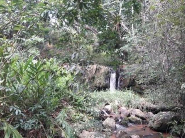 Sítio e chácara venda em Região Geográfica Imediata de Divinópolis, Itaúna