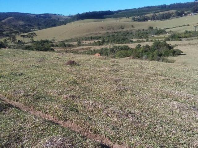 Sítio e chácara venda em Região Geográfica Imediata de Juiz de Fora, Andrelândia