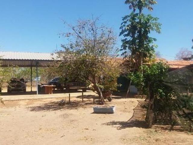 Sítio e chácara venda em Região Geográfica Imediata de São Francisco, São Francisco