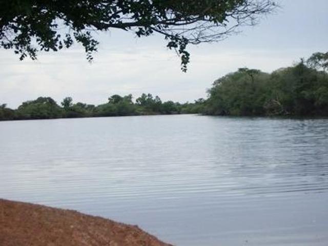 Sítio e chácara venda em Região Geográfica Imediata de Confresa - Vila Rica, São Felix do Araguaia