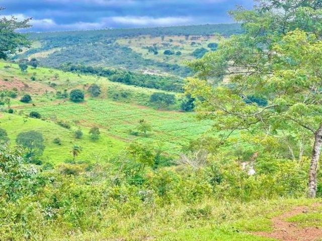 Sítio e chácara venda em Região Geográfica Imediata de Diamantina, Diamantina