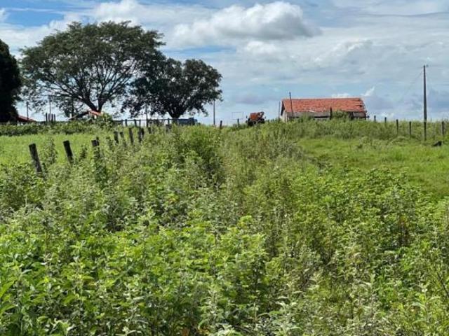 Sítio e chácara venda em Região Geográfica Imediata de Quirinópolis, Paranaiguara