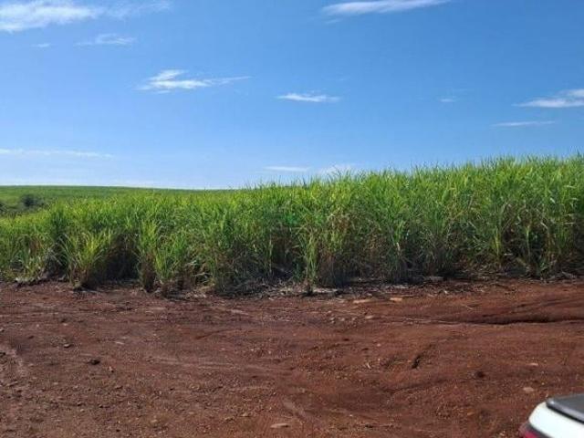 Sítio e chácara venda em Região Geográfica Imediata de Londrina, Porecatu