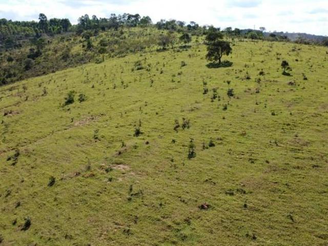 Sítio e chácara venda em Região Geográfica Imediata de Oliveira, Passa Tempo
